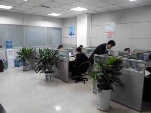 青島梓塾投資咨詢 專業(yè)經(jīng)濟信息咨詢服務的價值與優(yōu)勢