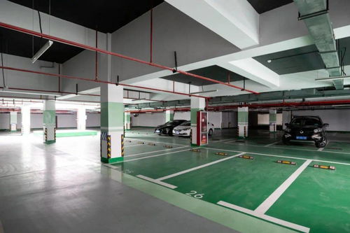 柯城篇 系統集成與數字賦能——精準供需深度打造“五化”文化場館